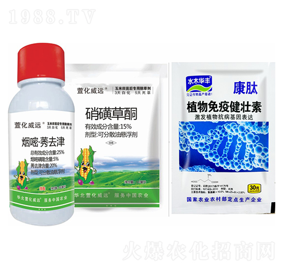 ����ݬȥ��+���ǲ�ͪ+ֲ�����߽�����-�滯���h(yu��n)