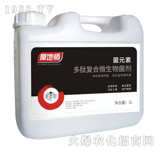 ���ďͺ�΢�������-��Ԫ��-�������r