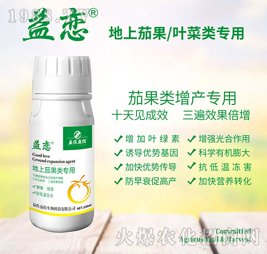 �����ѹ����-���-��������