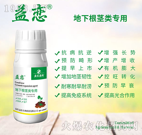 ���¸��o���-���-��������