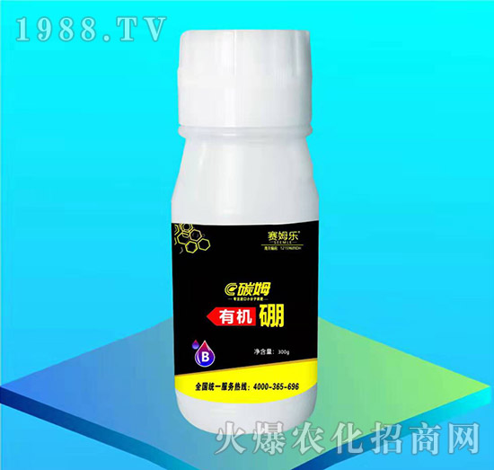 �ЙC(j��)��-̼ķ-ِķ��(l��)