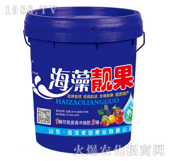 �����n��-Ц��