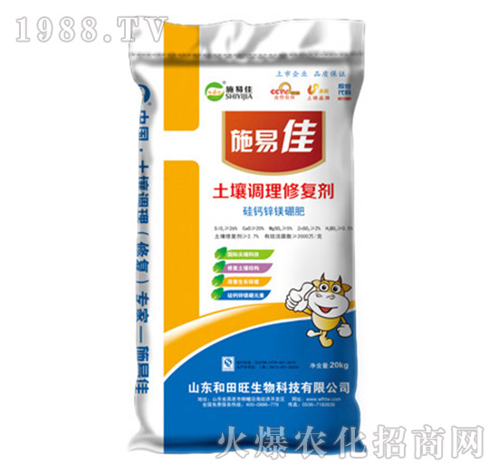 �����{(di��o)���ޏ̈́�-����������