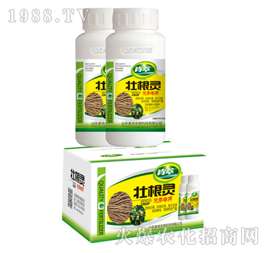 �Ѹ��`�h������-��������