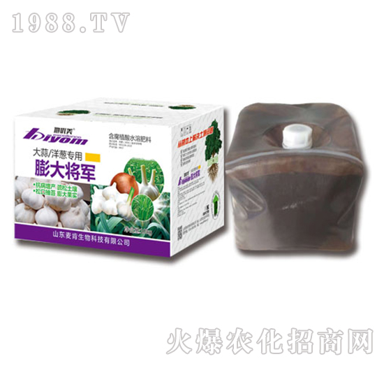 �������[�������܊-��������