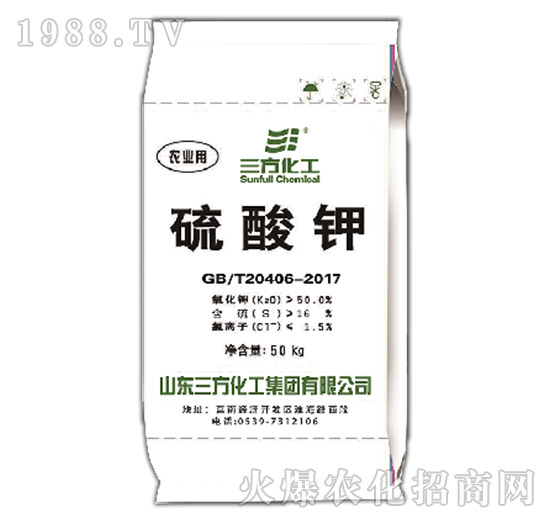 50%��ĩ�����-��������