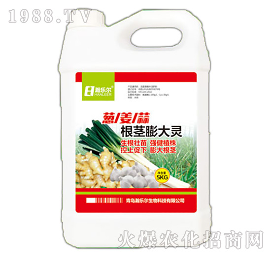 根莖膨大靈-瀚樂(lè)爾