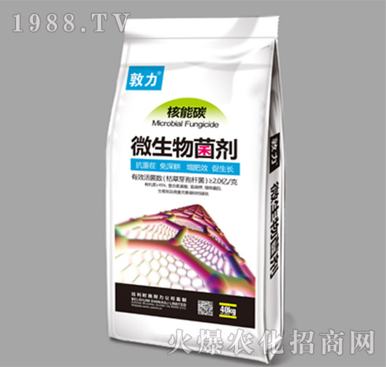 ΢�������-����̼-ʩ����