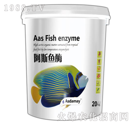 ��˹�~ø-��˹�_����