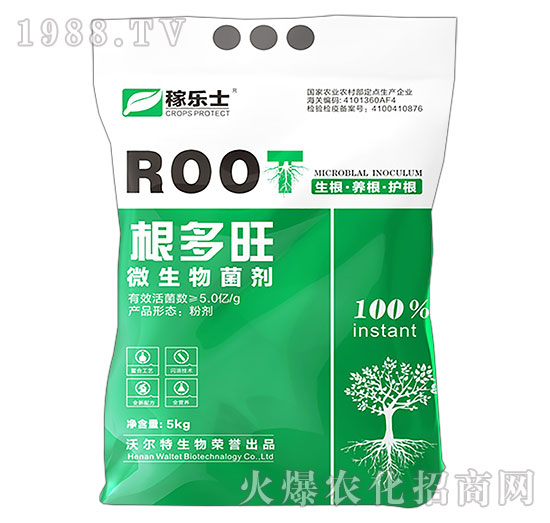 ΢�������-������-�ژ�ʿ