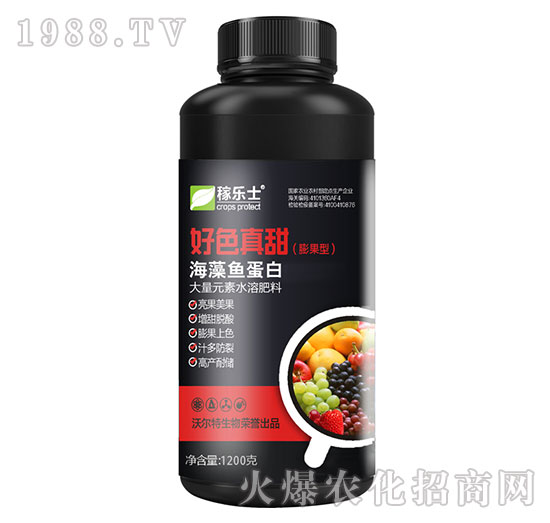 ����ͺ����~����-��ɫ����-�ژ�ʿ