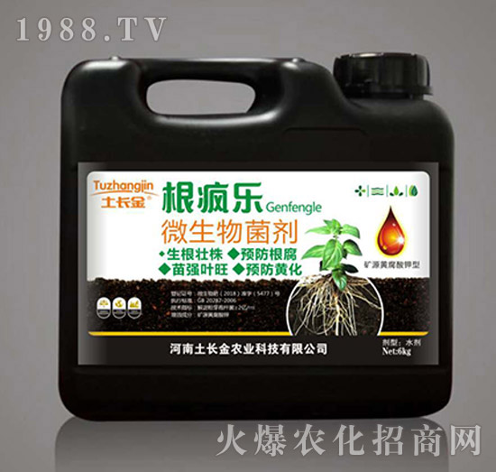 ΢�������-������(l��)-���L(zh��ng)��