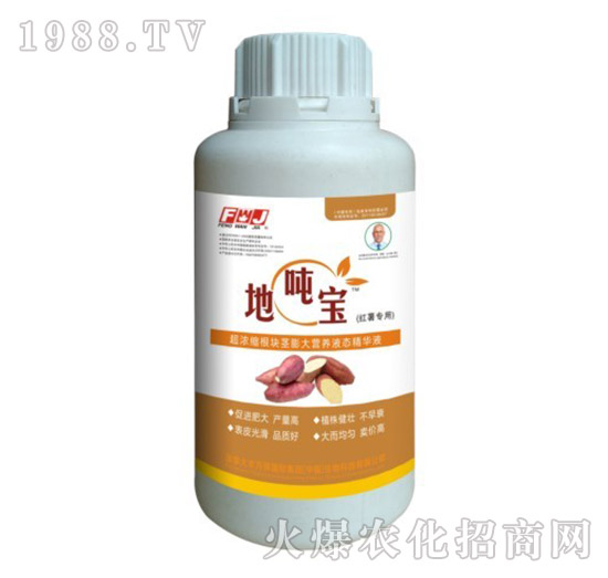 紅薯專用根塊莖膨大營養(yǎng)液態(tài)精華液-地噸寶-豐萬稼
