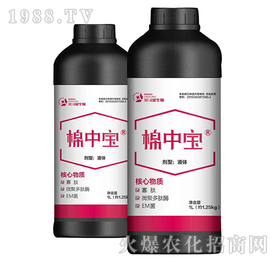 ���Ќ�-������