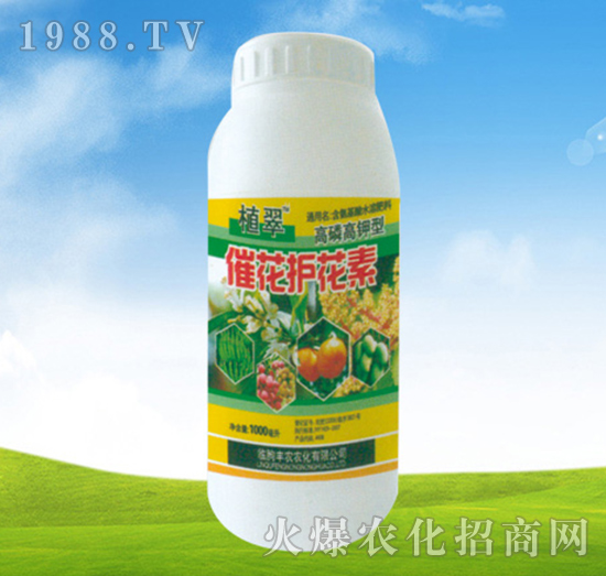 �߻��o(h��)����-ֲ��-�S�r(n��ng)�r(n��ng)��