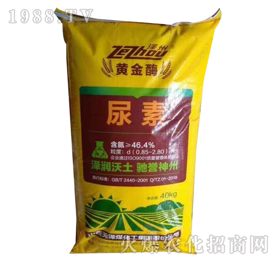 ����-�S��ø-�ӻ�����