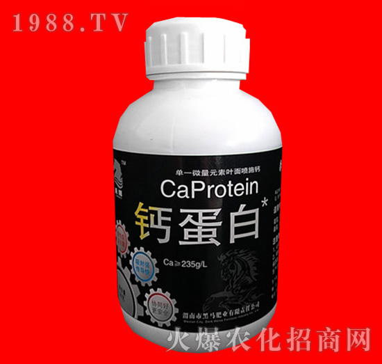 �}����-���R�ʘI(y��)