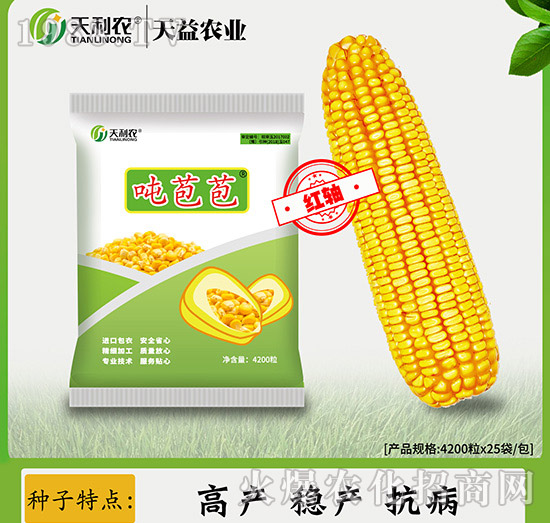 玉米噸苞苞-天利農