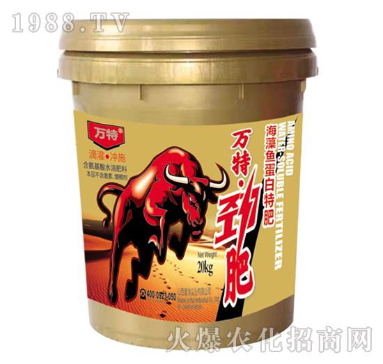 �����~(y��)�����ط�-�f(w��n)�؄ŷ�-�ٺ���(sh��)�I(y��)