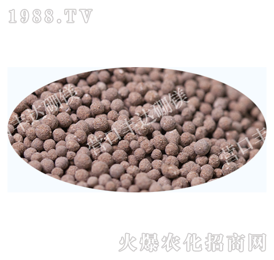 ʮ��Ԫ���w����-�S�_��