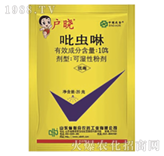 10%���x(ch��ng)��-��(h��)��-���r(n��ng)(li��n)��