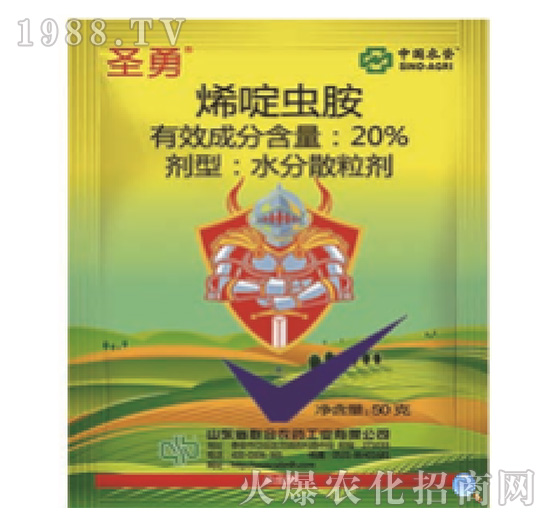 20%ϩ��x��-ʥ��-���r(li��n)��