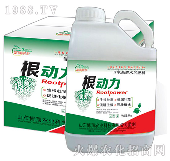 ��������ˮ�ܷ���-������-���M���l(xi��ng)-�����r�I(y��)