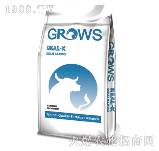 ���܏ͺϷ�-���_ʩ-��ʢ����