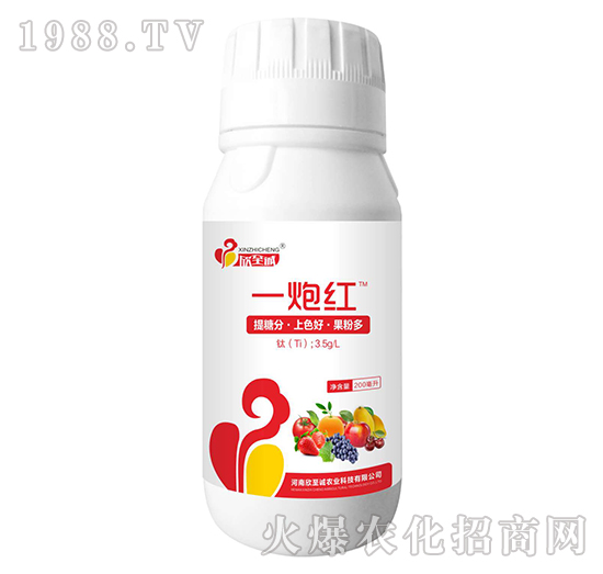 һ�ڼt-�����\