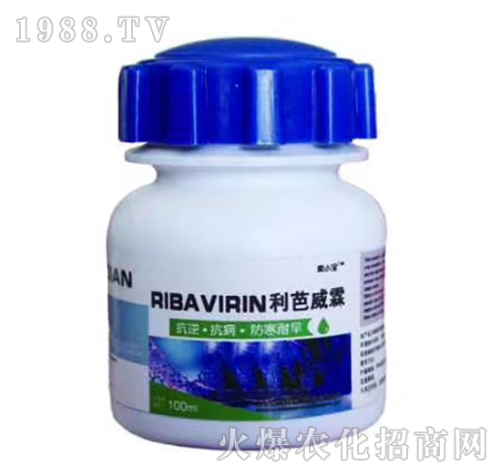 ��������-��С��-��M�@����