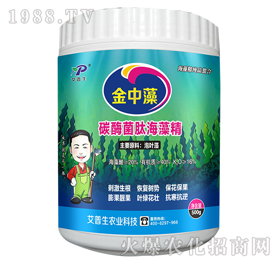 ̼ø���ĺ��徫-������-������