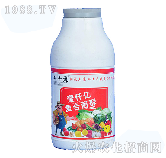 �����{(di��o)�턩-���Sʢ-�����_(d��)