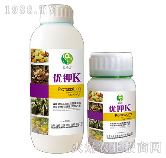 ��(y��u)�K-��ֲ��(y��u)