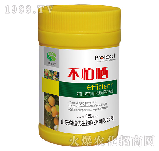 �������ЙCƤĤ���o��-����-��ֲ��(y��u)