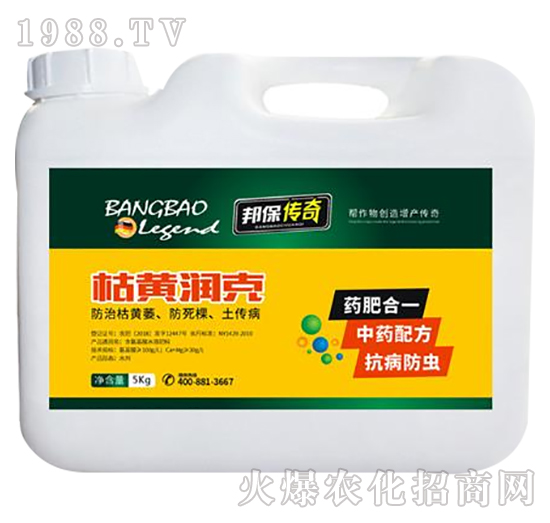 ���S��(r��n)��-�����-��ʘI(y��)