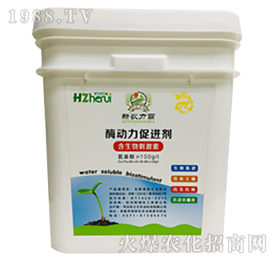 ø�������M��-���𻯹�