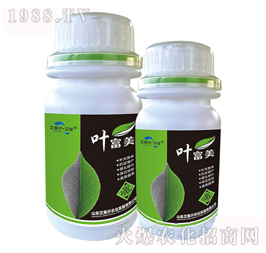 ȫ�I(y��ng)�B(y��ng)�~���-�~����-�����������u(y��)