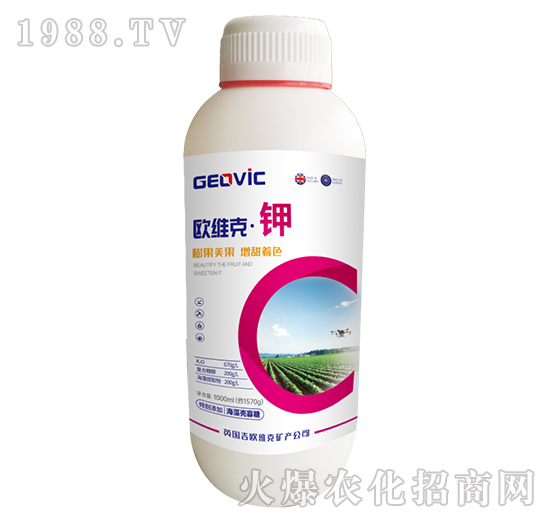 �W�S�ˡ��-�A�˱���