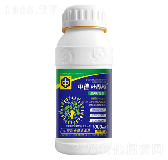 ��ʧ�G�Y����ֲ�~��-��ֲ(li��n)��