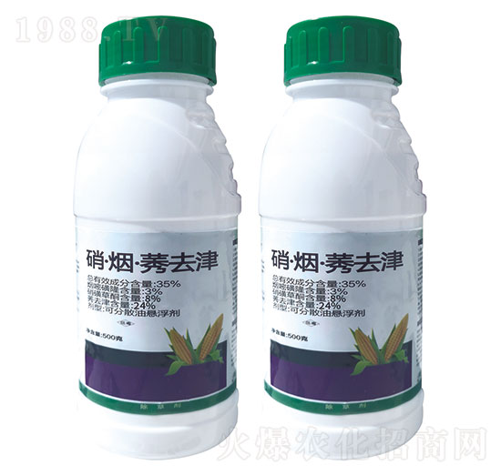 35%��������ݬȥ��-������-���r����