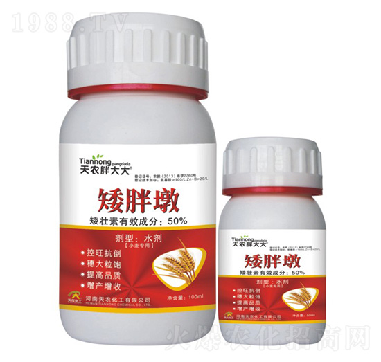 С������-���ֶ�-���r�ִ��-���r����