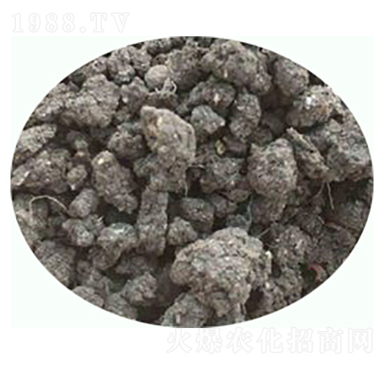 �l(f��)���u�S�ЙC(j��)����-���|�ʘI(y��)