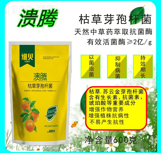 �ݲ�ѿ�ߗU��-���v-������