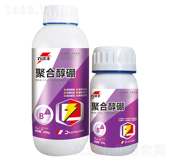 �ۺϴ���-����