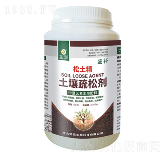 �������Ʉ�-������-ʢ�a(b��)-�Ʒ����