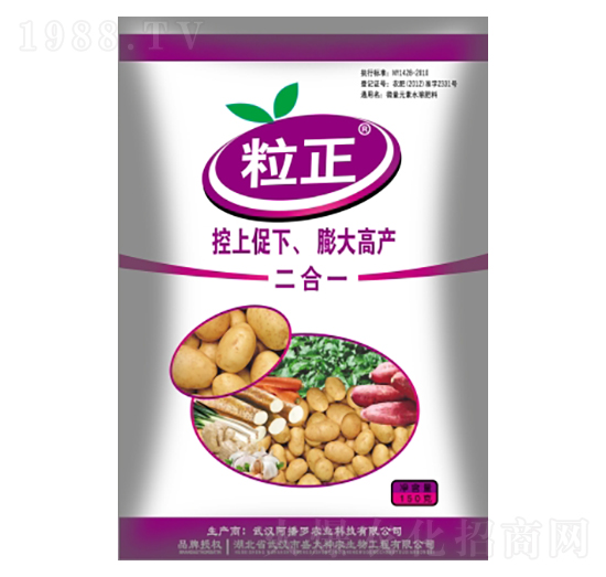 �K�o������-����-ʢ������