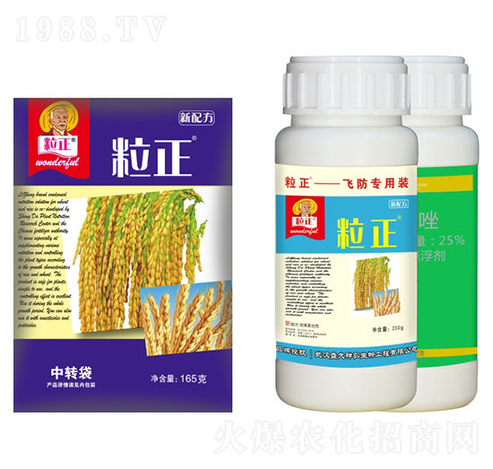 ���������b-ʢ������