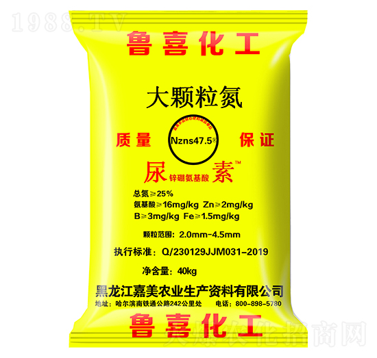 ���w����-��ϲ-����