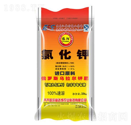 �Ȼ��-���-���_��