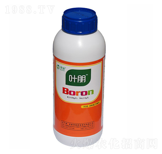 �ЙC���-�~��-ïʩ